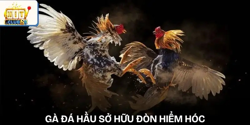 phan tich loi da ga de du doan ket qua ga da hau phan tich loi da ga de du doan ket qua ga da hau