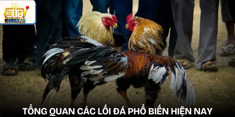 phan tich loi da ga de du doan ket qua tong quan phan tich loi da ga de du doan ket qua tong quan